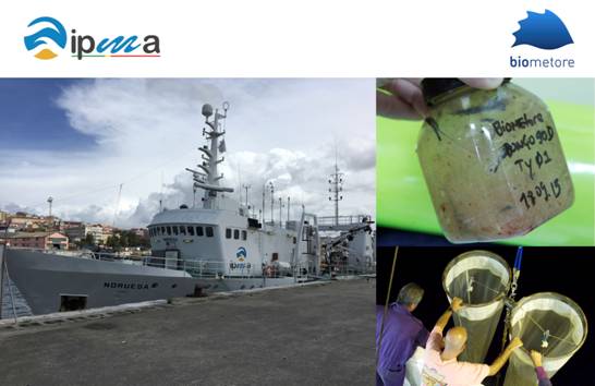 Campanha Agosto 2016