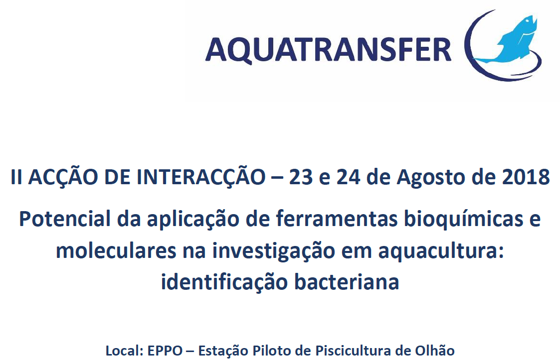 Instituto Português do Mar e da