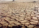 extreme drought