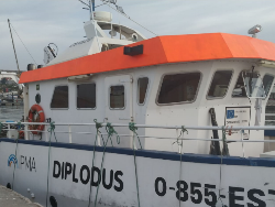 Research vessel "Diplodus"