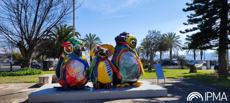 Escultura Pinguim de Magalhães