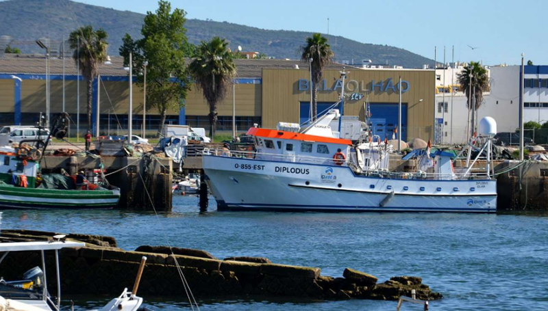 Figura 1- Navio de Investigação do IPMA “Diplodus”