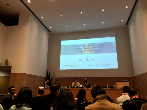 Imagem 4 - Projetos com participação e presença de técnicos do IPMA