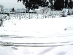 neve 20060129 10