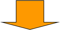 Icon seta
