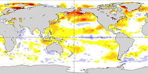 Temperatura superficie oceano