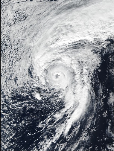 hurricane alex