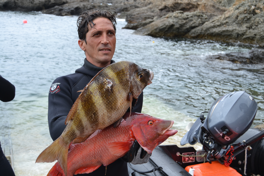 Filipe Andrade (DRP Madeira) após captura de sargo veado e peixe-cão na Selvagem Grande. 