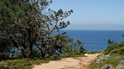 Costa da Galé, Setúbal