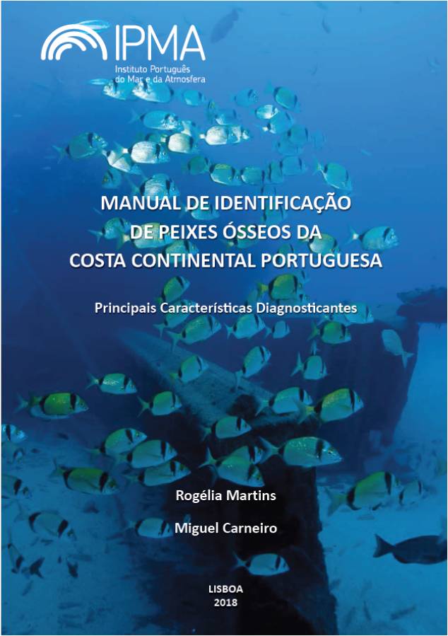 teste