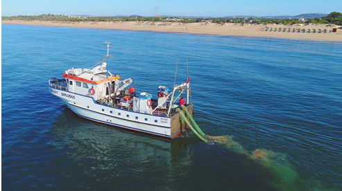 Investigation vessel DIPLODUS