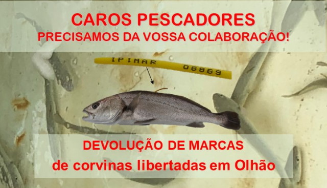 Devolução de marcas.