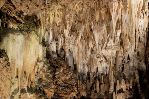 Galeria delle Stalattit, Gruta Corchia (Itália)