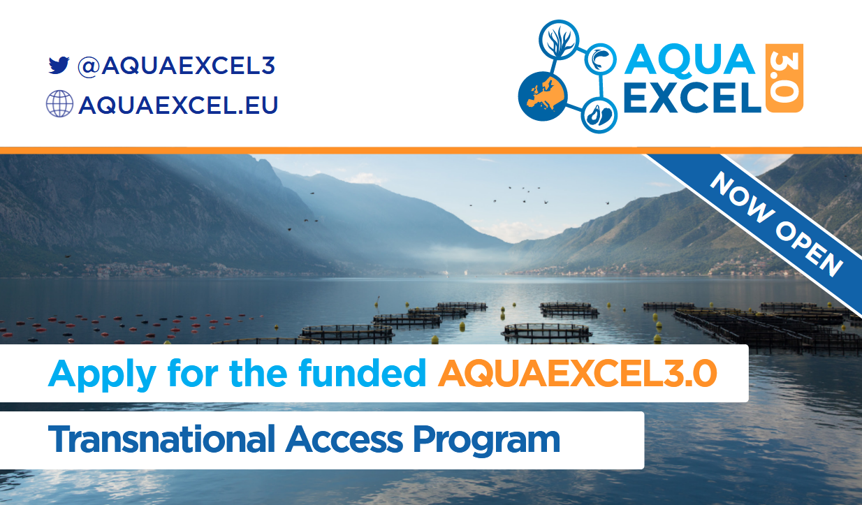 Projeto AquaExcel