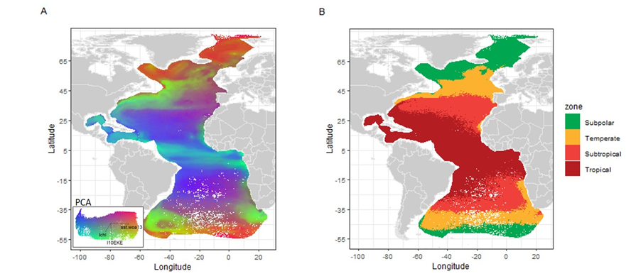 Variação da biodiversidade de foraminiferos plantonicos em função da temperatura, clorofila e energia cinética do oceano. Zonas principais de diferentes comunidades de foraminiferos plantonicos.