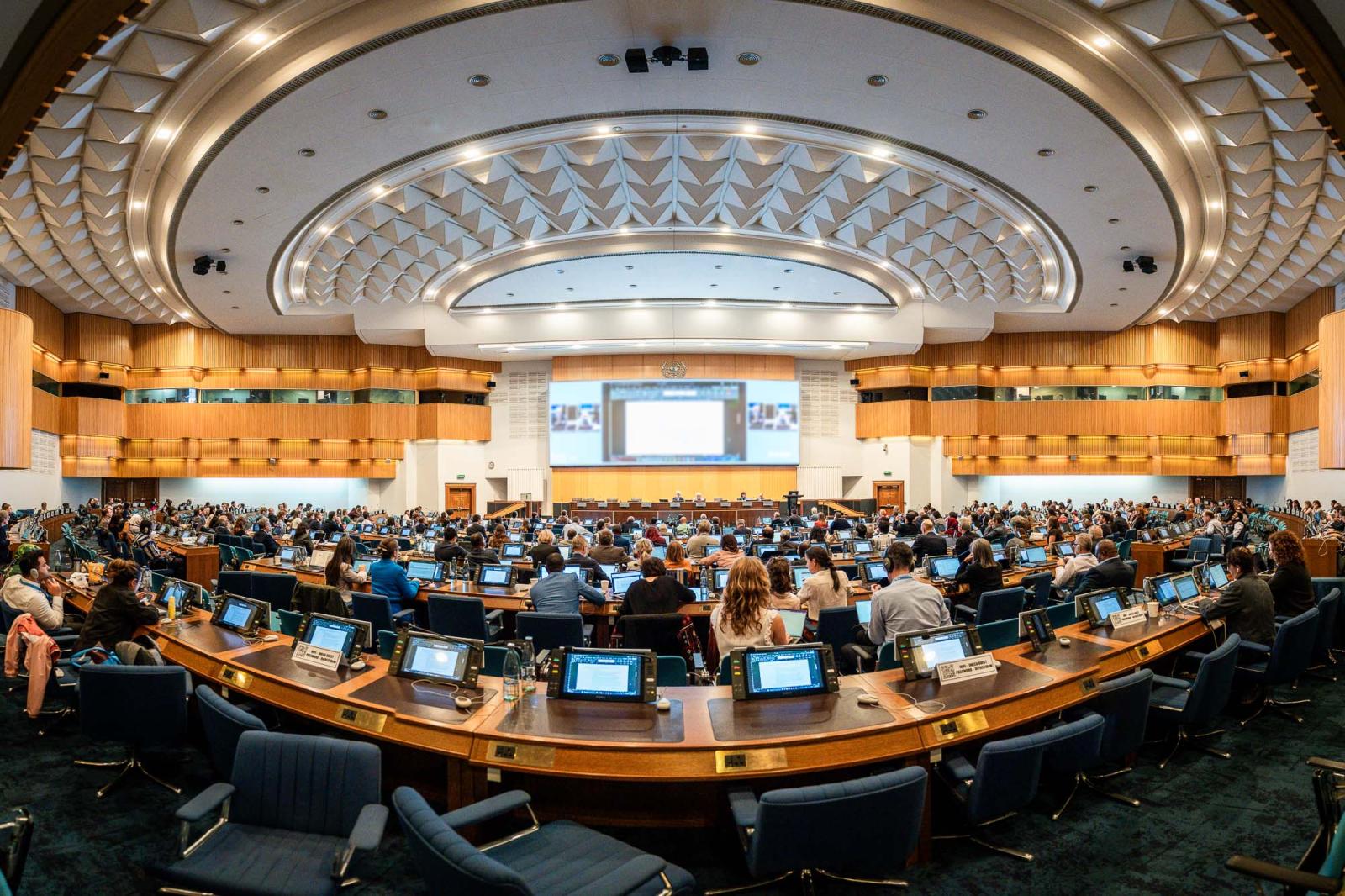 Créditos de imagem: IISD - Earth Negociation Bulletin