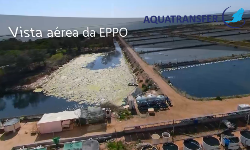 Olhão Pilot Fish Farming Station 