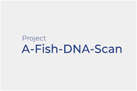A-Fish-DNA