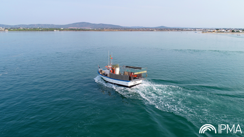 Barco de pesca 